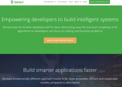 AI Development Platform